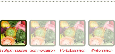 saison